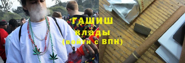 крисы Няндома