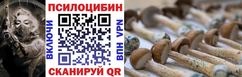 Псилоцибиновые грибы GOLDEN TEACHER  цены наркотик  Весьегонск 